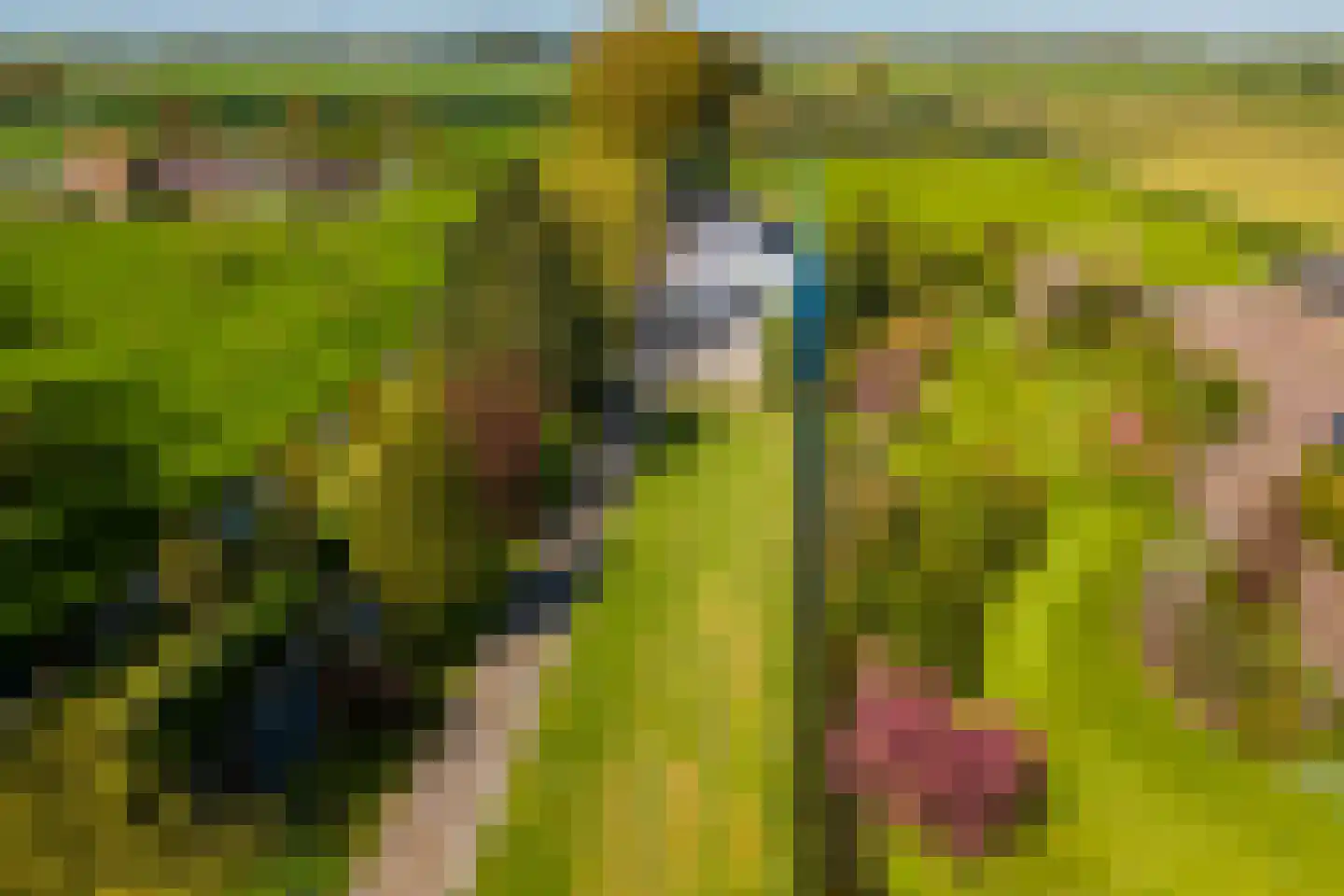 Driemolensweg 4 Lexmond thumbnail 8