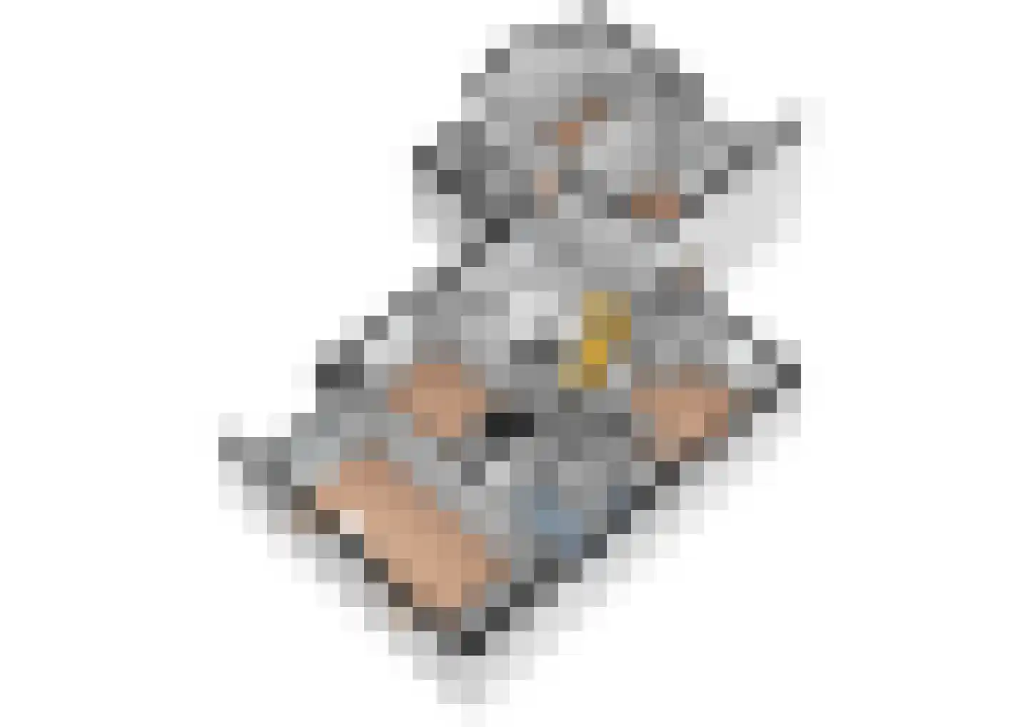 Driemolensweg 4 Lexmond thumbnail 80