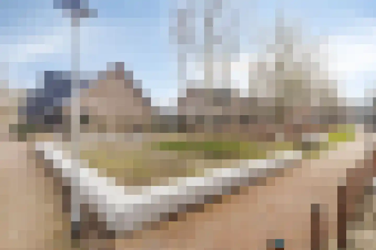 Driemorgen 9 Dordrecht thumbnail 20