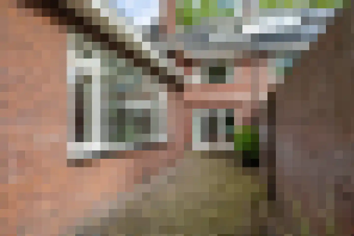 Drienerparkweg 22 Hengelo thumbnail 41