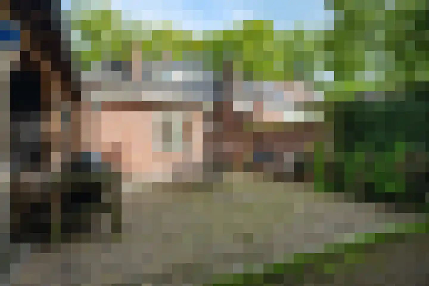 Drienerparkweg 22 Hengelo thumbnail 43