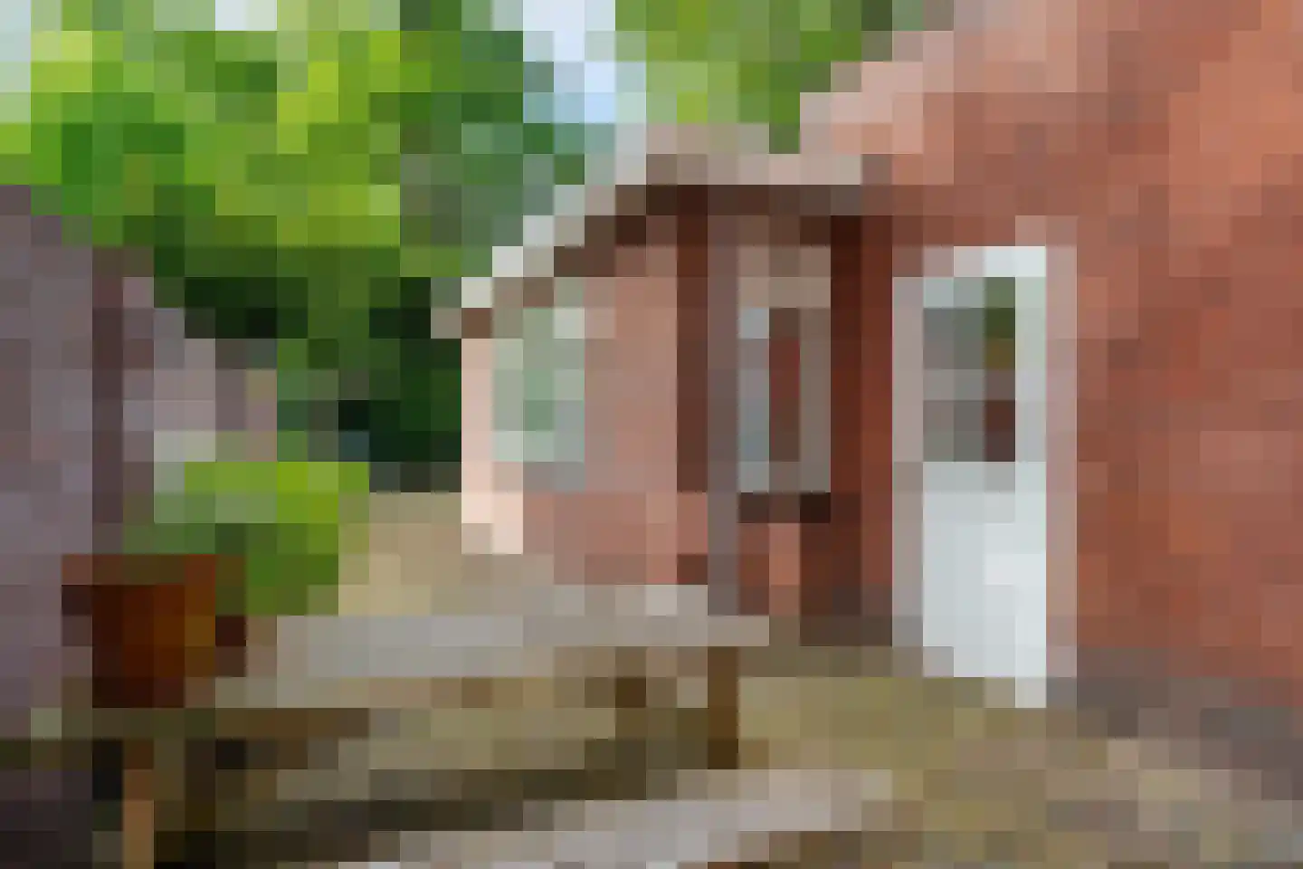 Drienerparkweg 22 Hengelo thumbnail 46