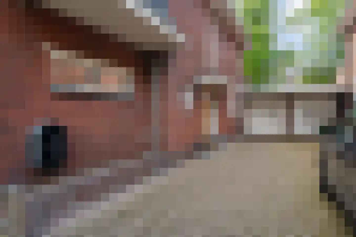 Drienerparkweg 22 Hengelo thumbnail 8