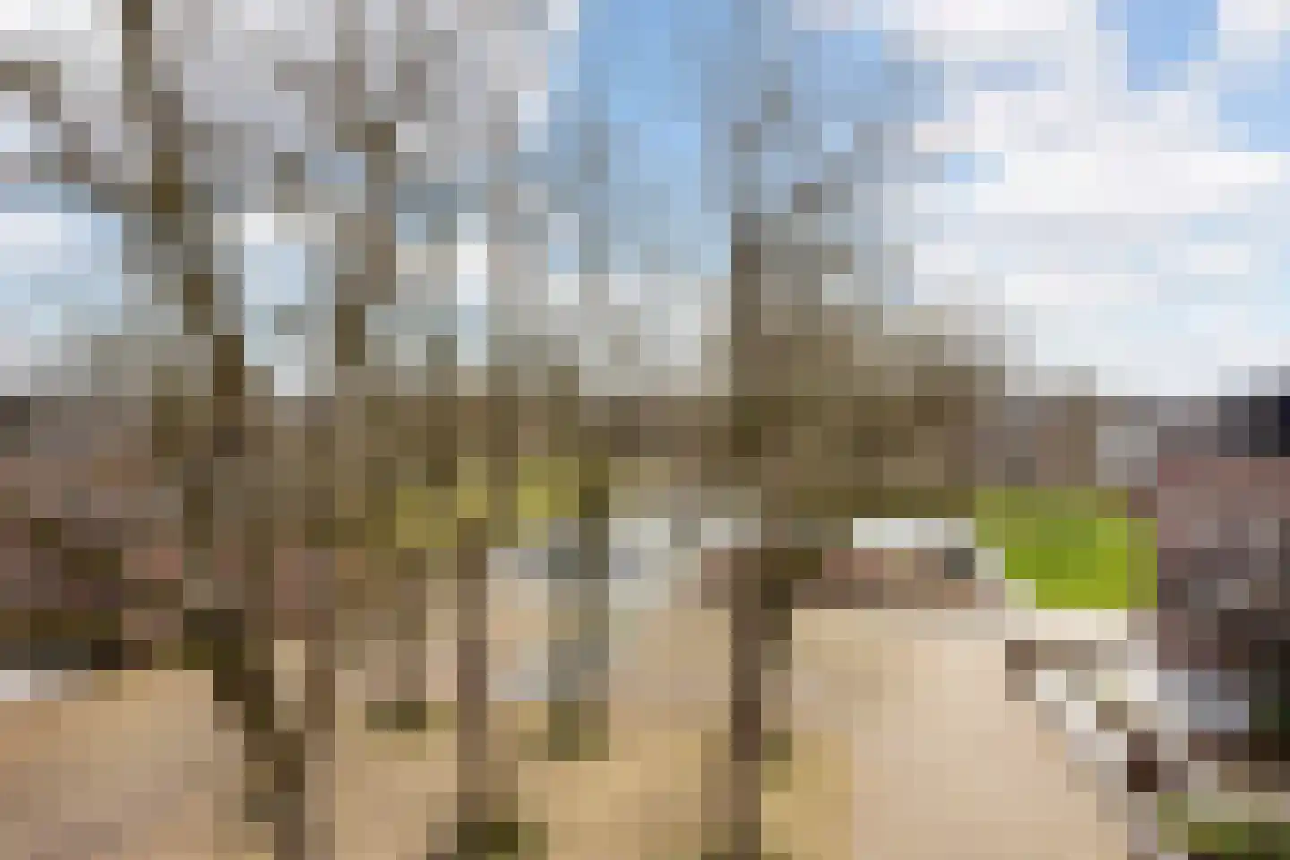 Drienerstraat 84 Hengelo thumbnail 17
