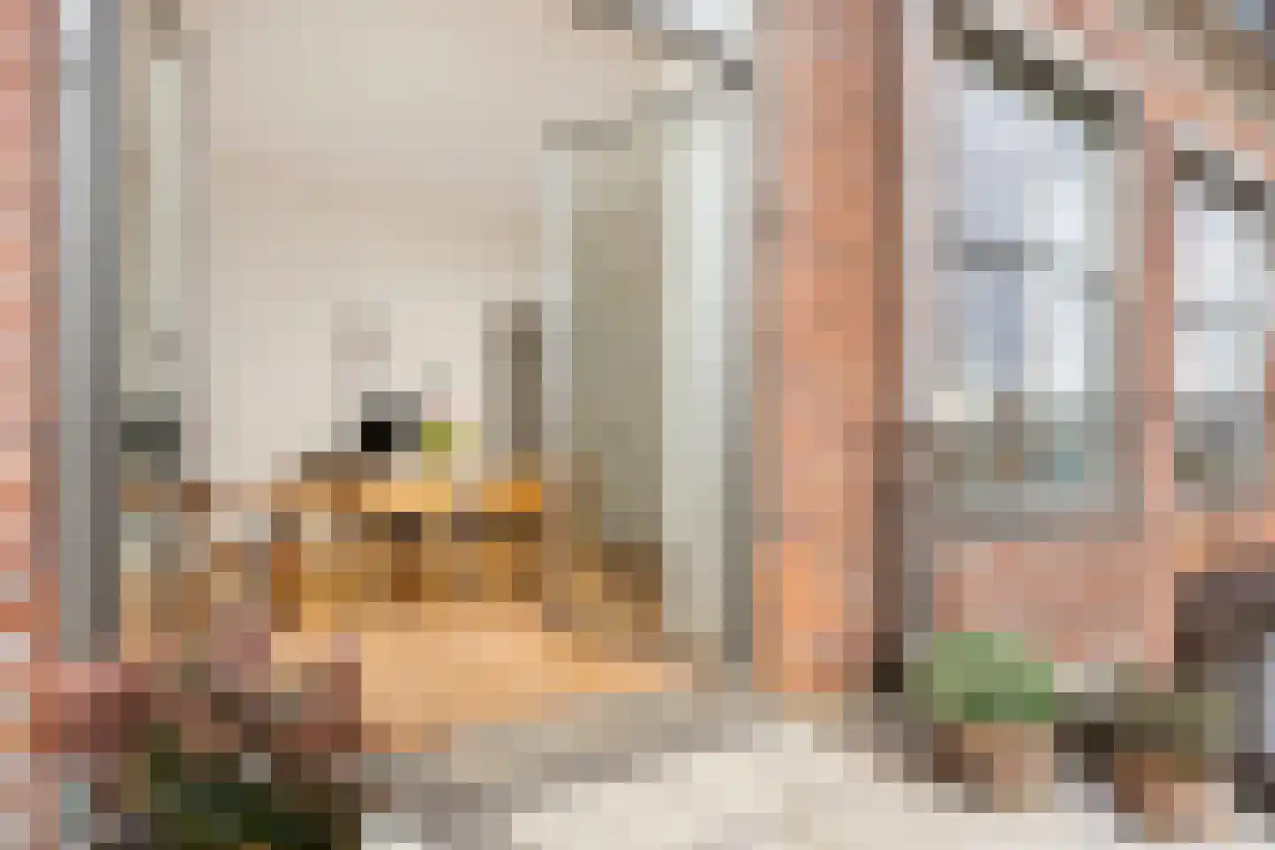 Drienerstraat 84 Hengelo thumbnail 20