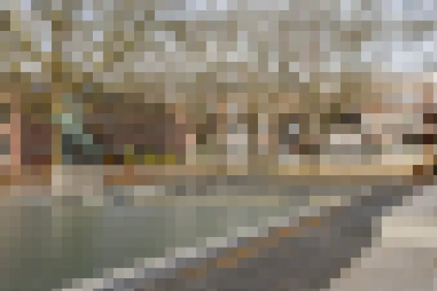 Drienerstraat 84 Hengelo thumbnail 36