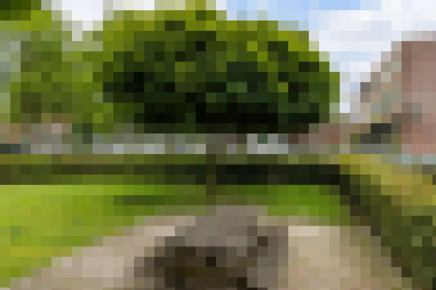 Drienerweg 165 Enschede thumbnail 21