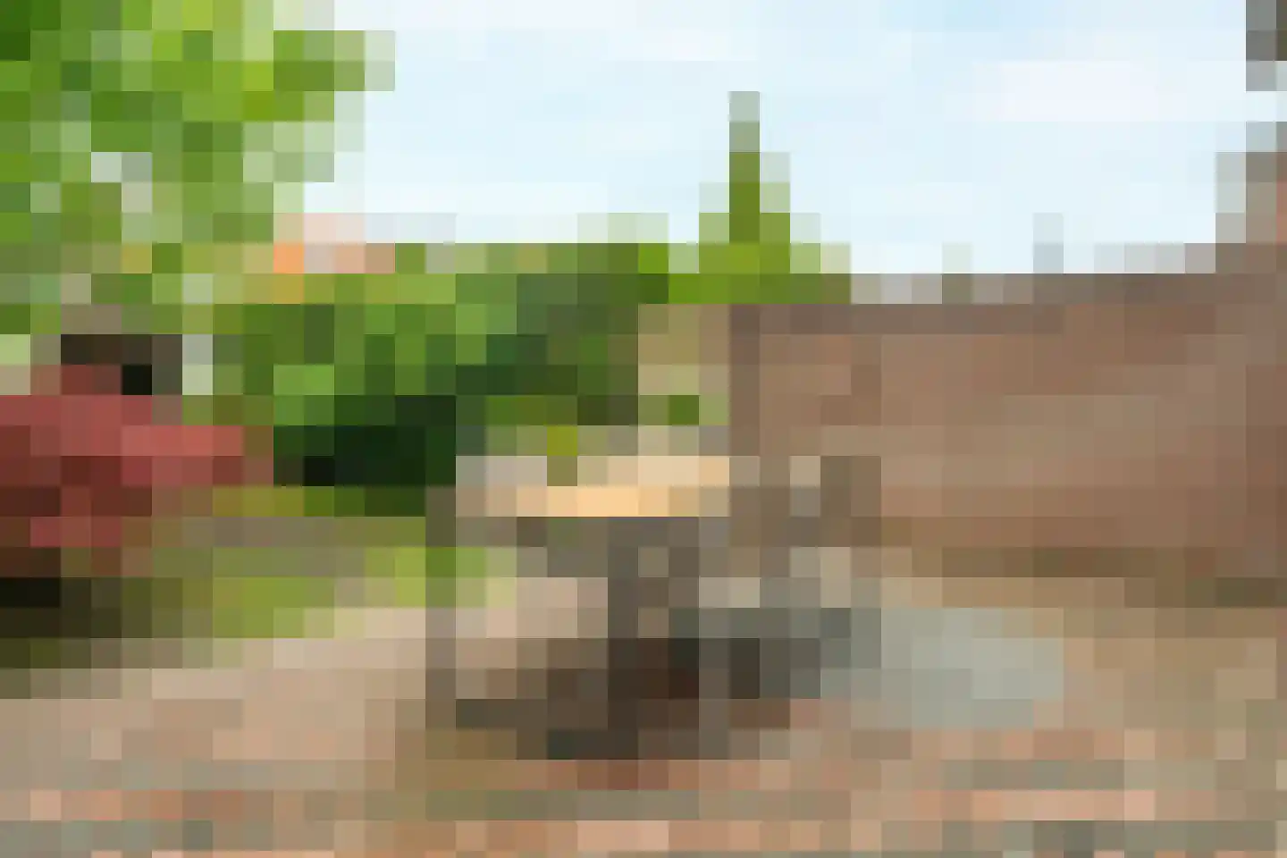 Drienerweg 66 Enschede thumbnail 31