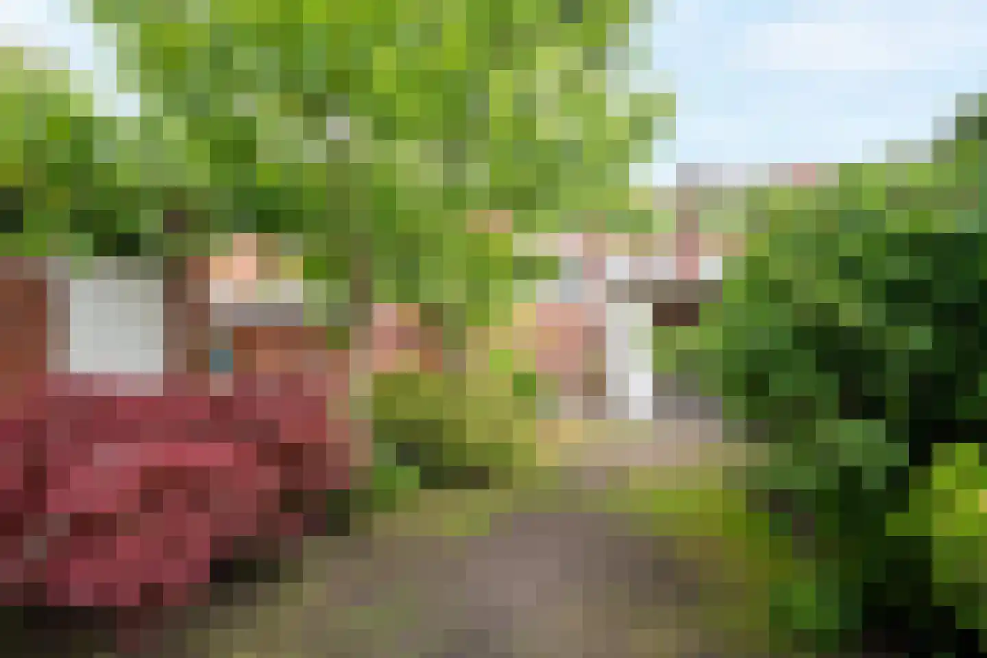 Drienerweg 66 Enschede thumbnail 32