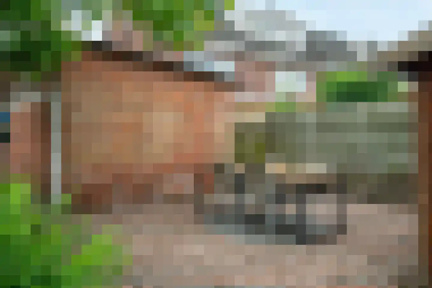 Drienerweg 66 Enschede thumbnail 35