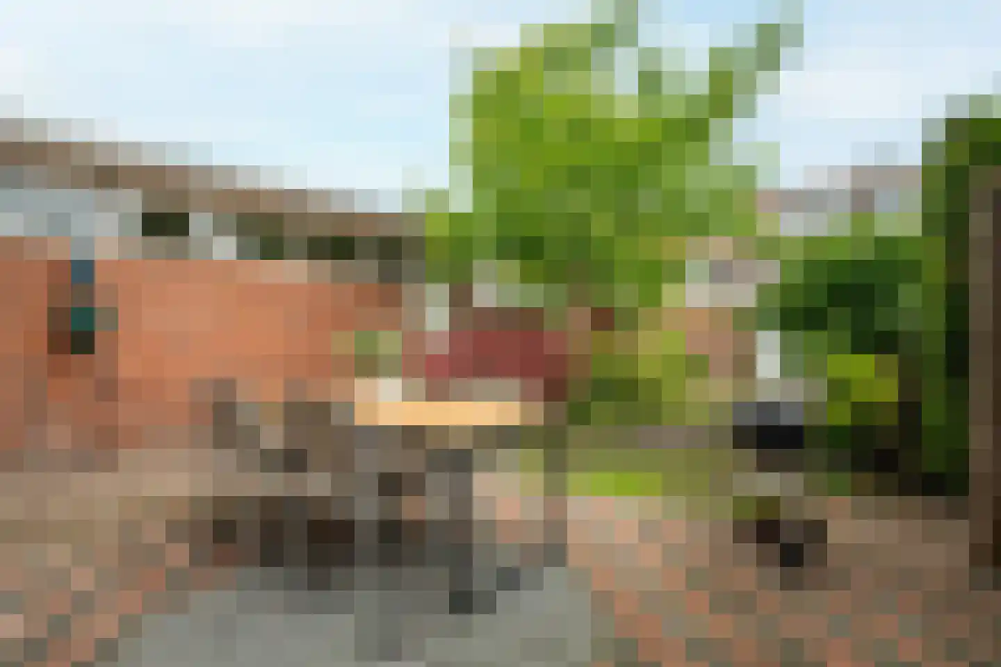 Drienerweg 66 Enschede thumbnail 4
