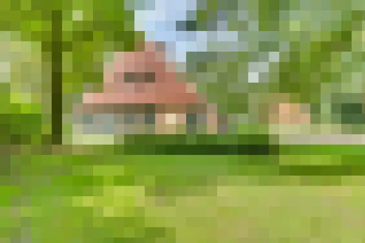 Drienerwoldeweg 33 in Hengelo