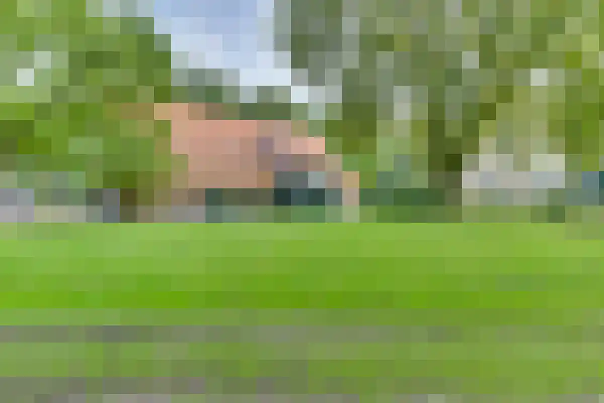 Drienerwoldeweg 33 Hengelo thumbnail 12