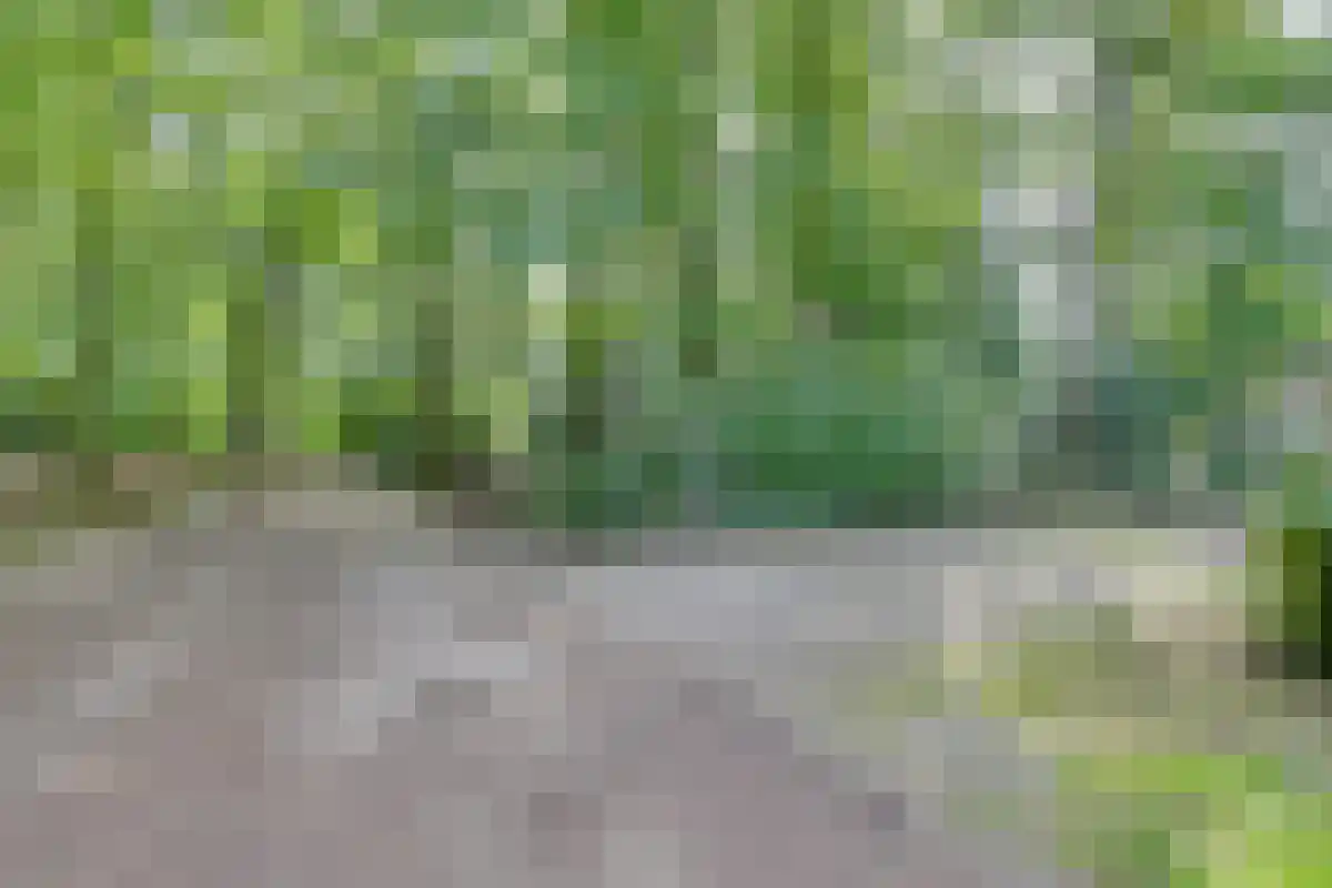 Drienerwoldeweg 33 Hengelo thumbnail 15