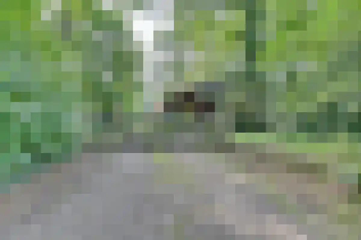 Drienerwoldeweg 33 Hengelo thumbnail 16