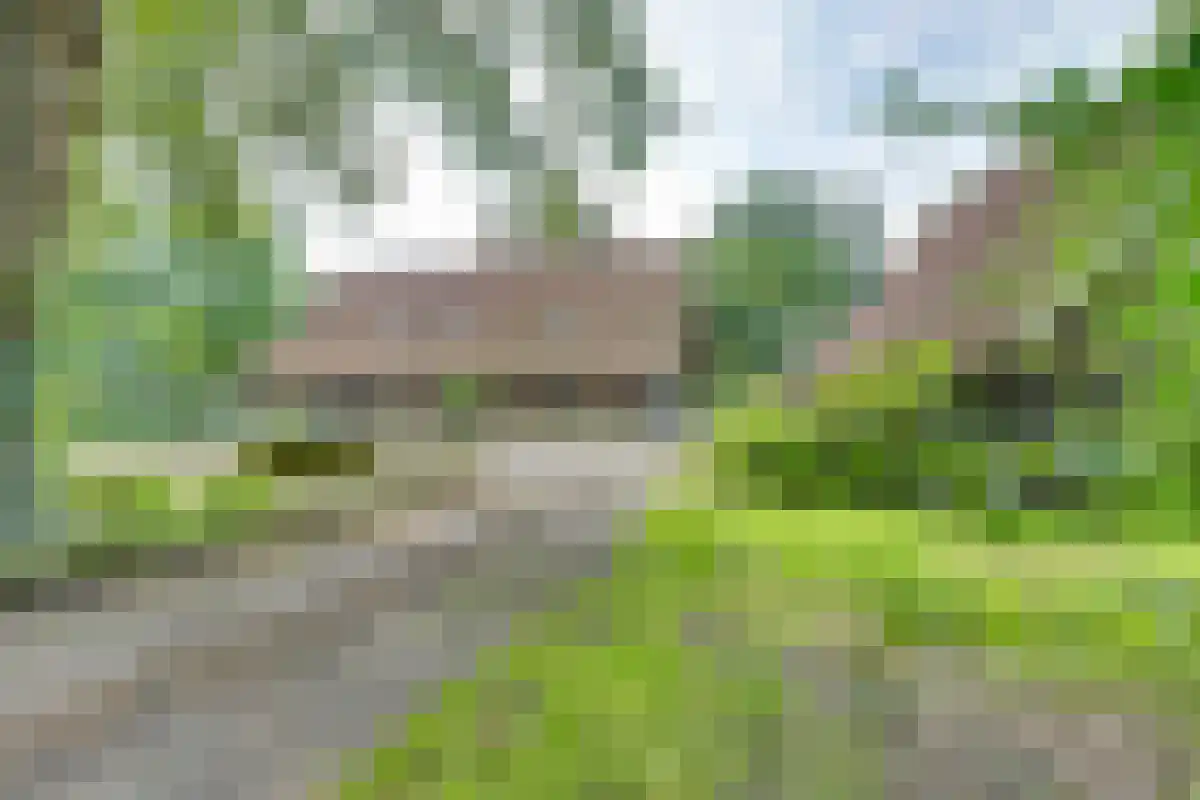 Drienerwoldeweg 33 Hengelo thumbnail 18