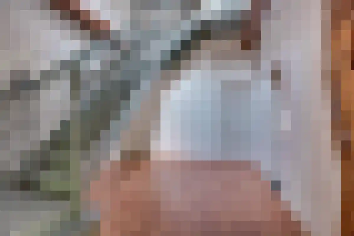 Drienerwoldeweg 33 Hengelo thumbnail 31