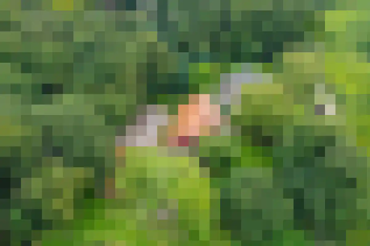 Drienerwoldeweg 33 Hengelo thumbnail 4