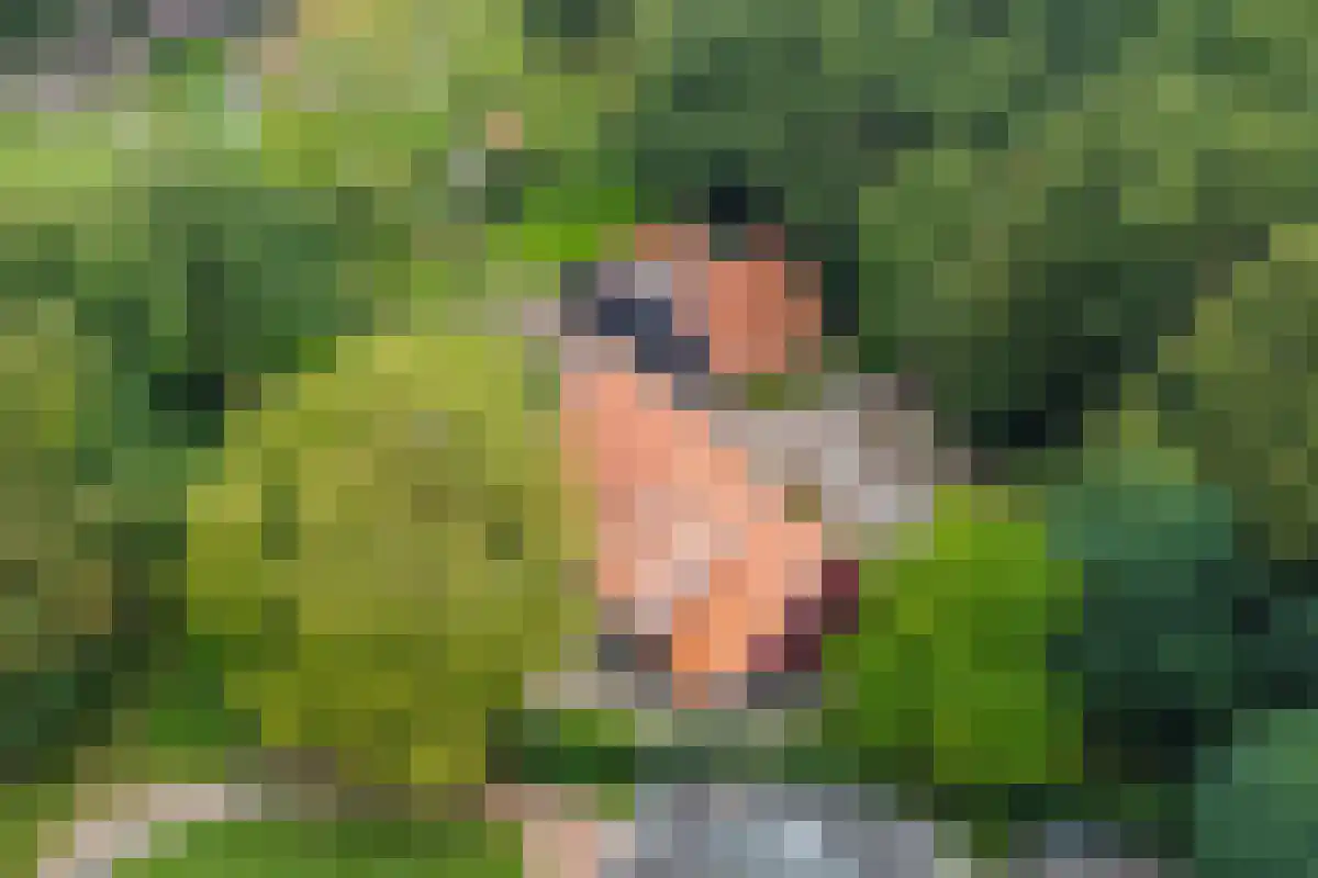 Drienerwoldeweg 33 Hengelo thumbnail 6