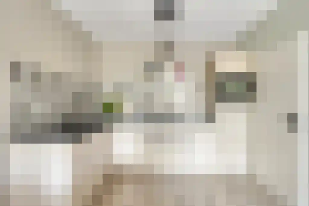 Drieoortsput 10 Heerlen thumbnail 14