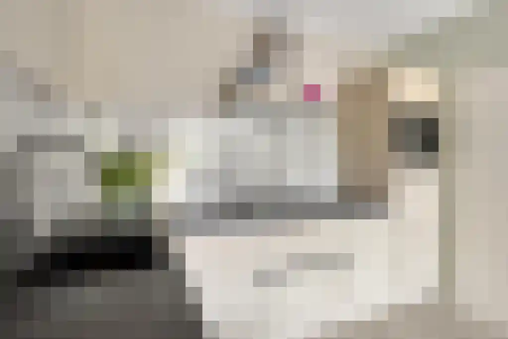Drieoortsput 10 Heerlen thumbnail 15