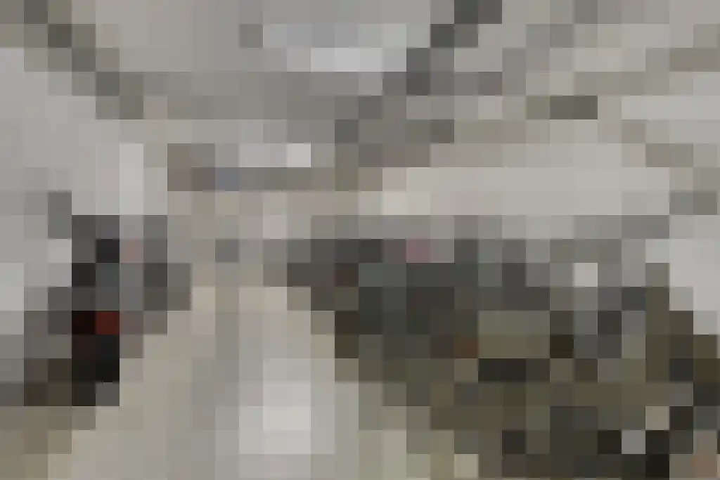 Drieoortsput 10 Heerlen thumbnail 24