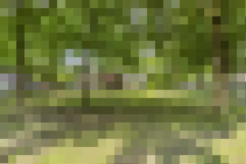 Drieoortsput 10 Heerlen thumbnail 25
