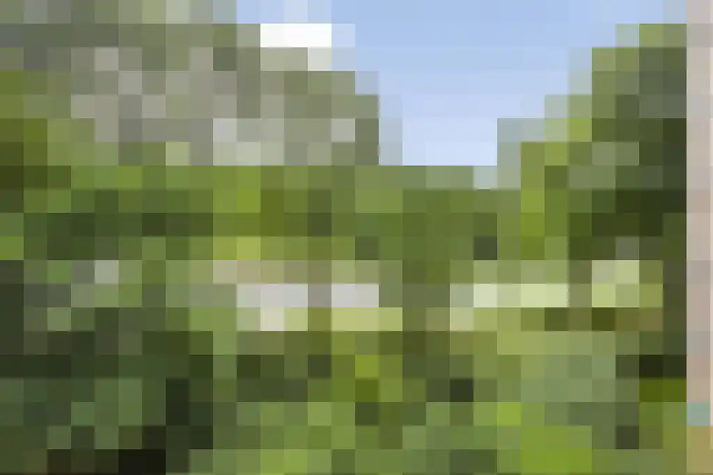Drieoortsput 10 Heerlen thumbnail 28