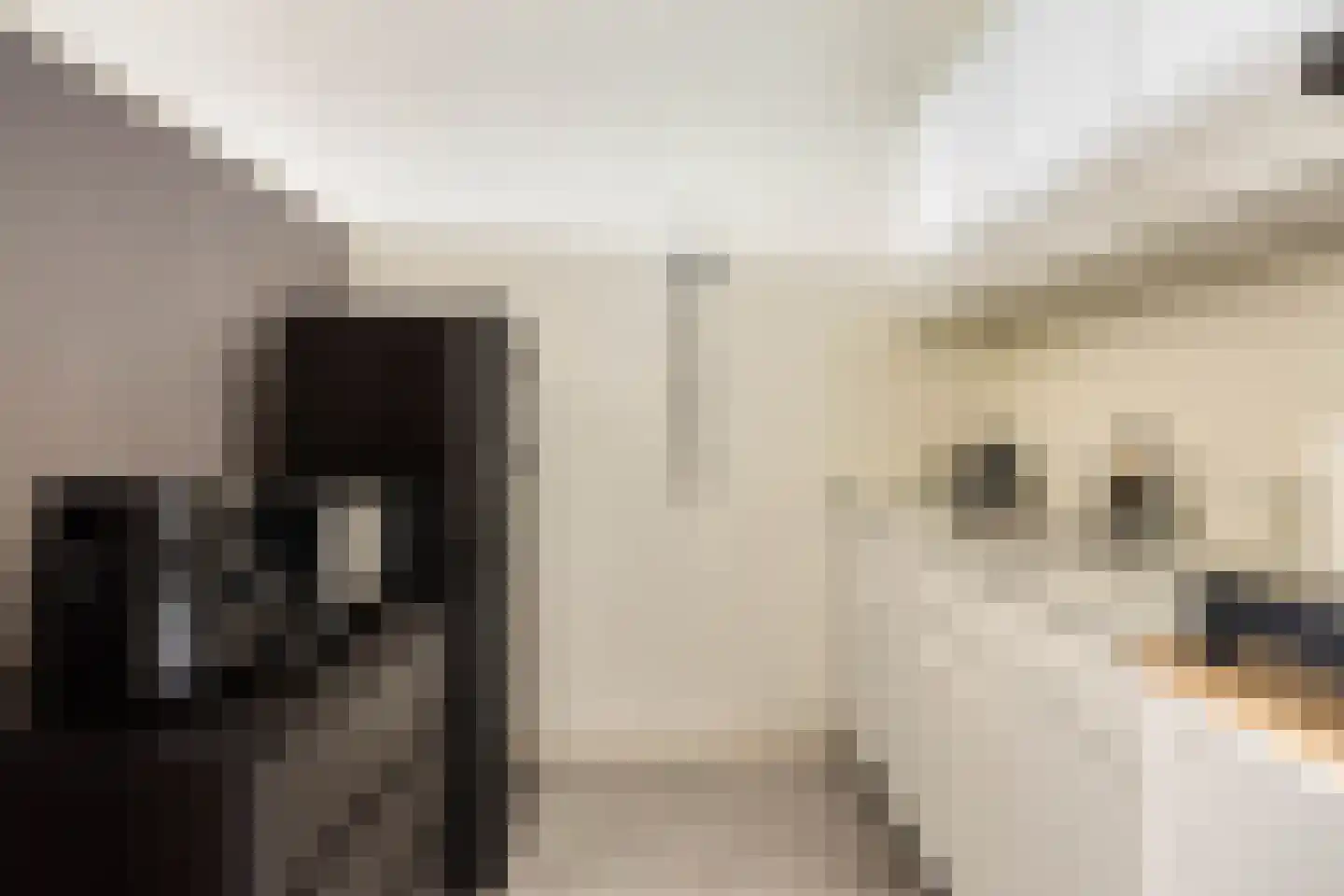Drieoortsput 106 Heerlen thumbnail 7