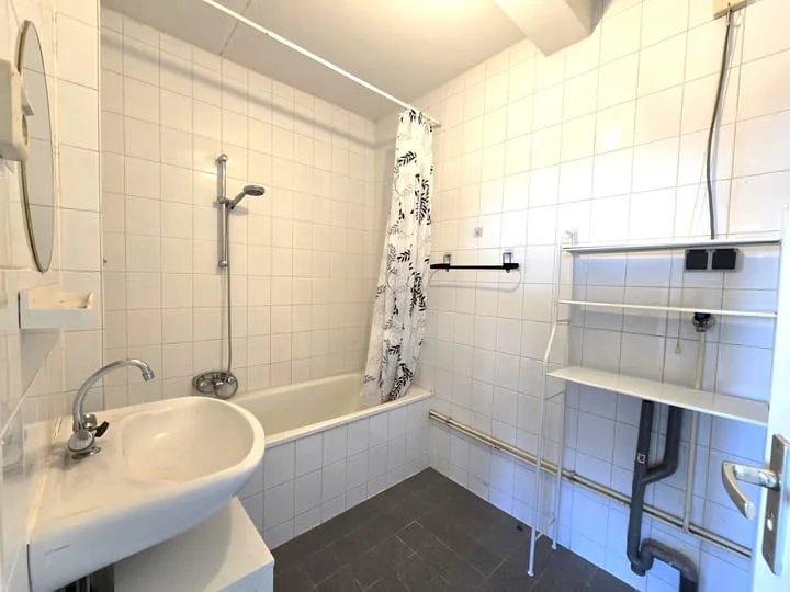 Drieoortsput 109 Heerlen thumbnail 13