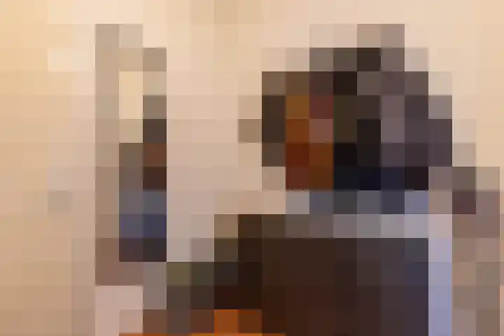 Drieoortsput 115 Heerlen thumbnail 11