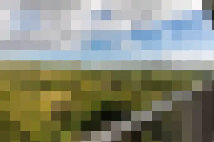 Drieoortsput 115 Heerlen thumbnail 16