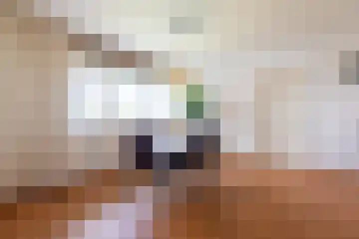 Drieoortsput 115 Heerlen thumbnail 6