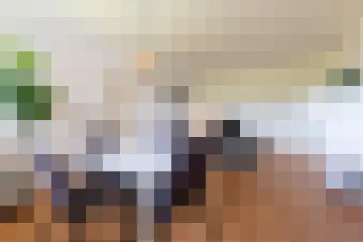 Drieoortsput 115 Heerlen thumbnail 7