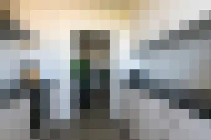 Drieoortsput 128 Heerlen thumbnail 11