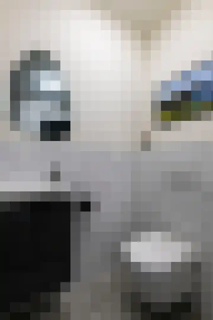 Drieoortsput 128 Heerlen thumbnail 16