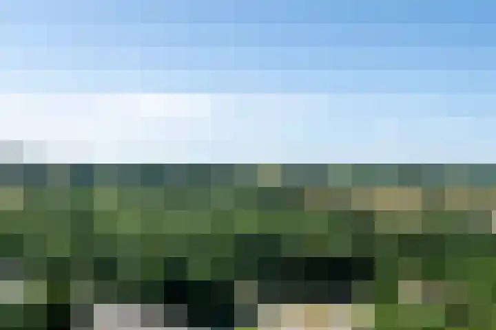 Drieoortsput 128 Heerlen thumbnail 19