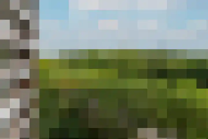 Drieoortsput 51 Heerlen thumbnail 18