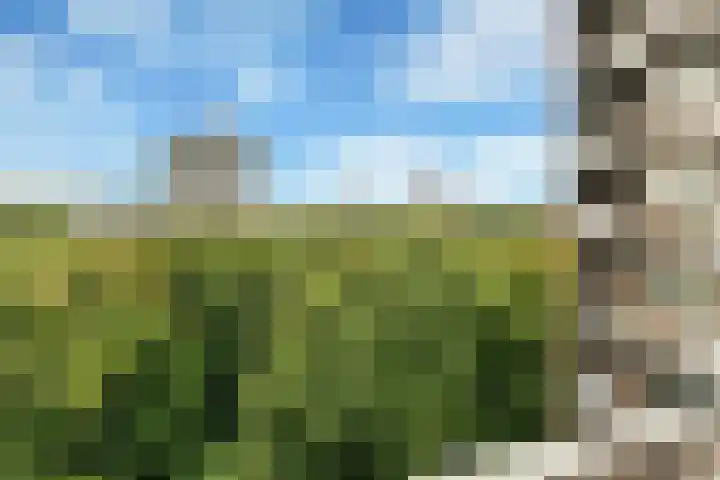 Drieoortsput 53 Heerlen thumbnail 20