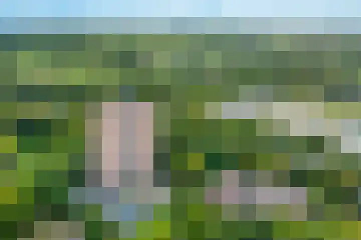 Drieoortsput 53 Heerlen thumbnail 21