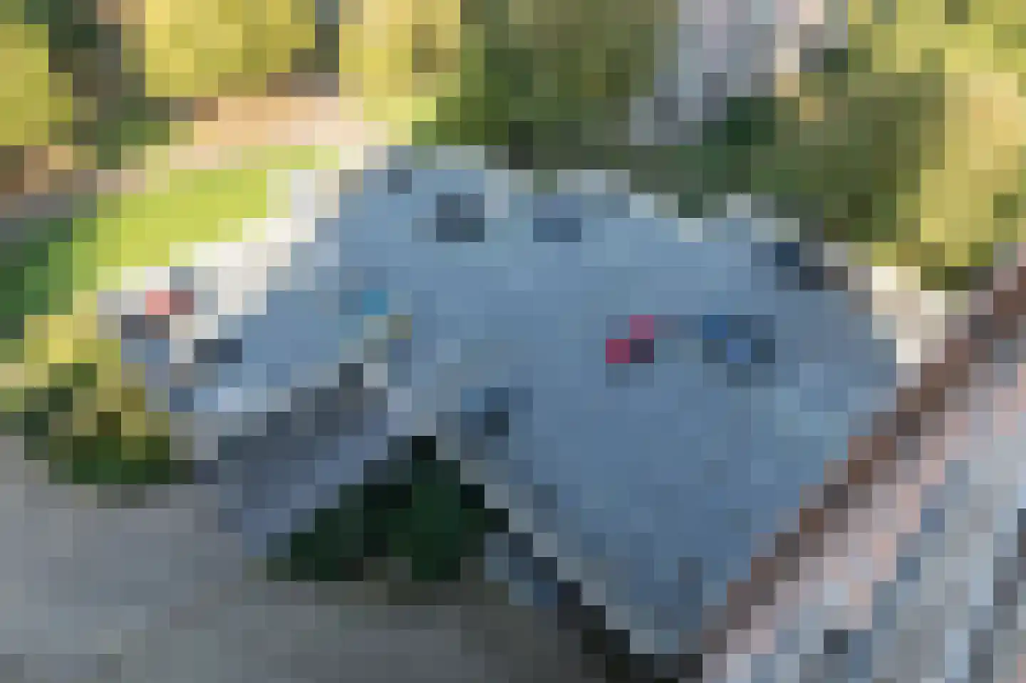 Drieoortsput 66 Heerlen thumbnail 15