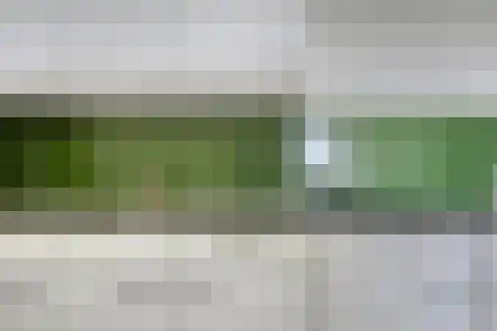 Drieoortsput 82 Heerlen thumbnail 14
