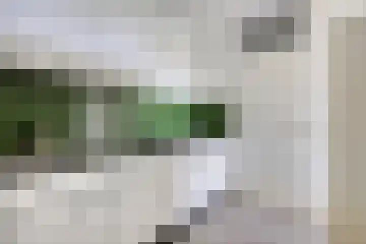 Drieoortsput 82 Heerlen thumbnail 15