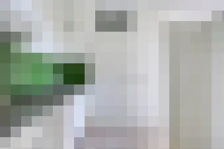 Drieoortsput 82 Heerlen thumbnail 16
