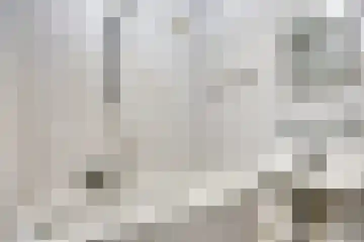 Drieoortsput 82 Heerlen thumbnail 19