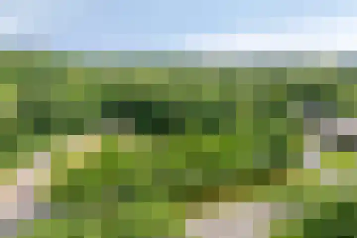 Drieoortsput 82 Heerlen thumbnail 25