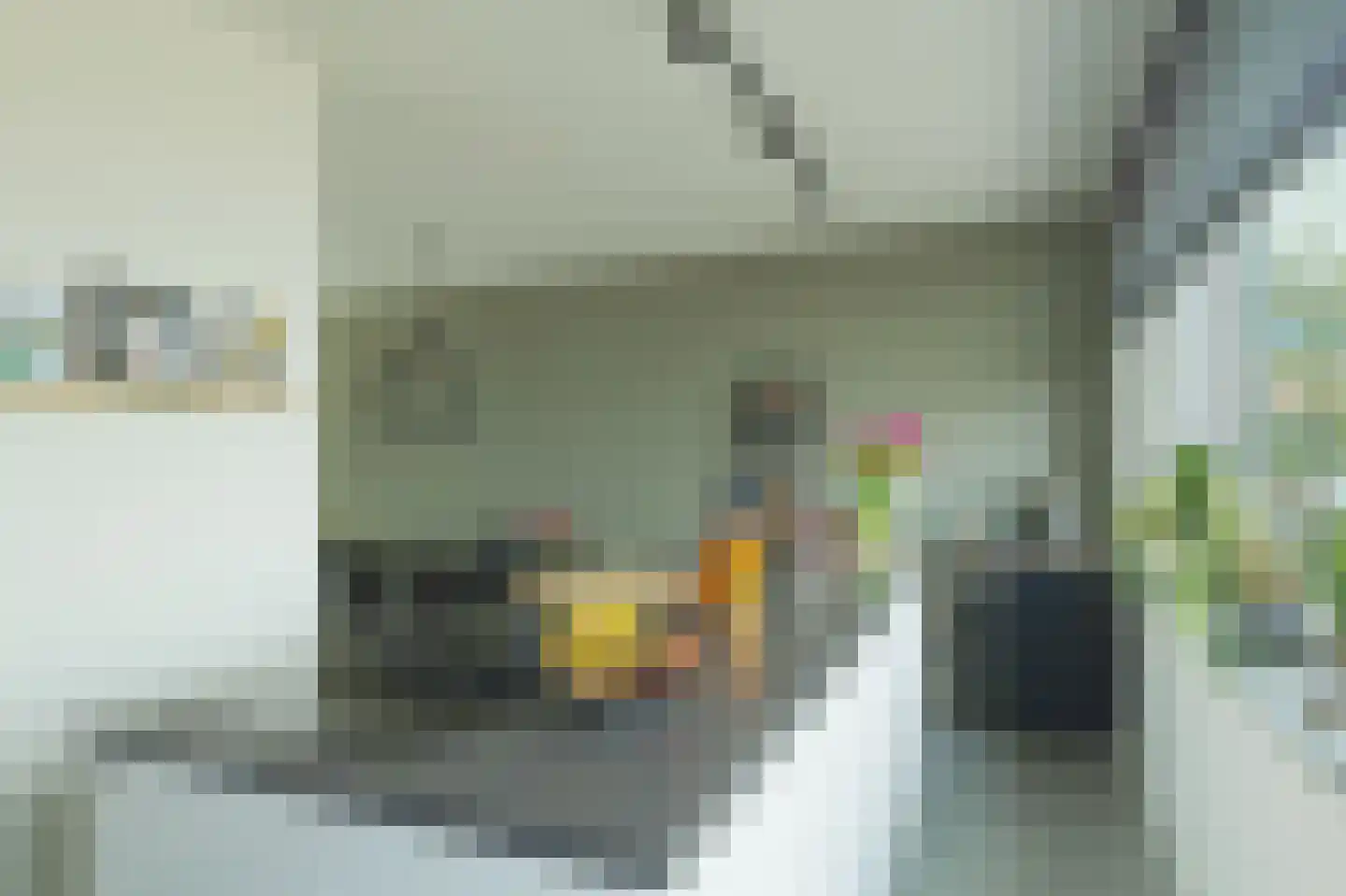 Drierivierenlaan 20 Ridderkerk thumbnail 21