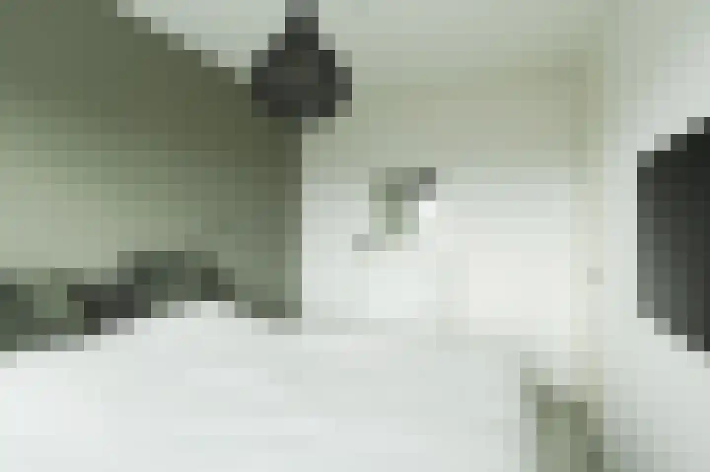 Drierivierenlaan 20 Ridderkerk thumbnail 36