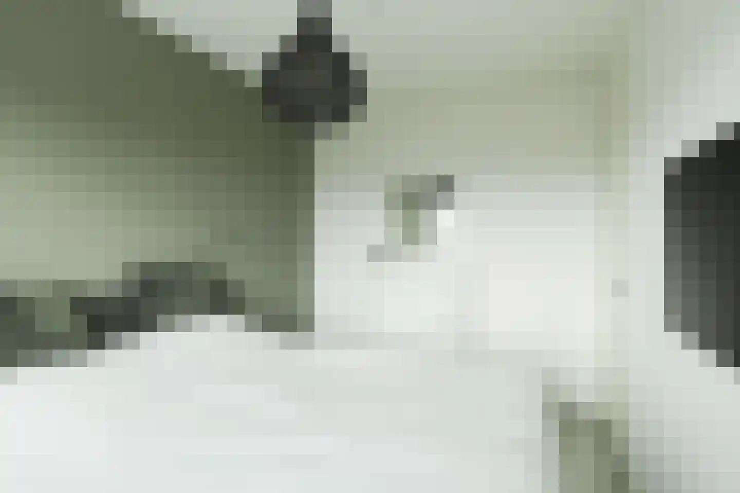 Drierivierenlaan 20 Ridderkerk thumbnail 36