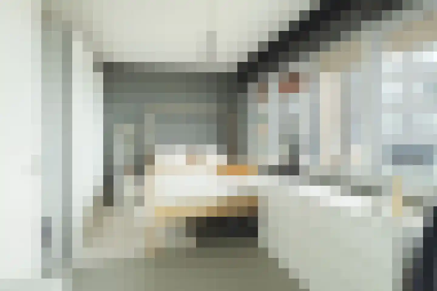 Drierivierenlaan 20 Ridderkerk thumbnail 37